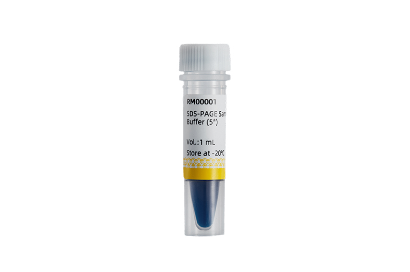 SDS-PAGE Sample Loading Buffer (5×)-生化试剂- ABclonal
