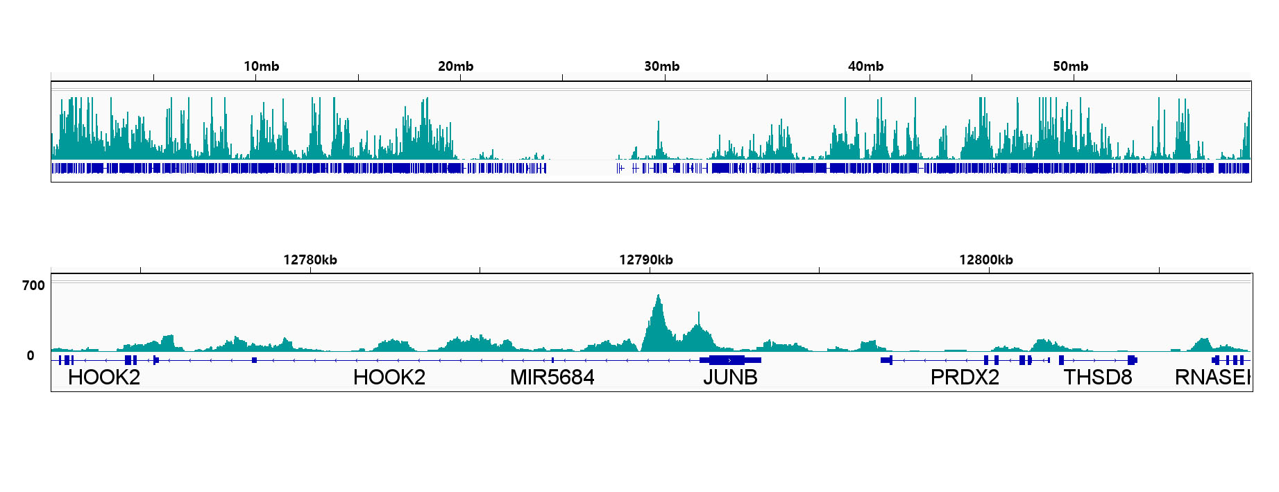 [KO Validated] Smad4 Rabbit mAb