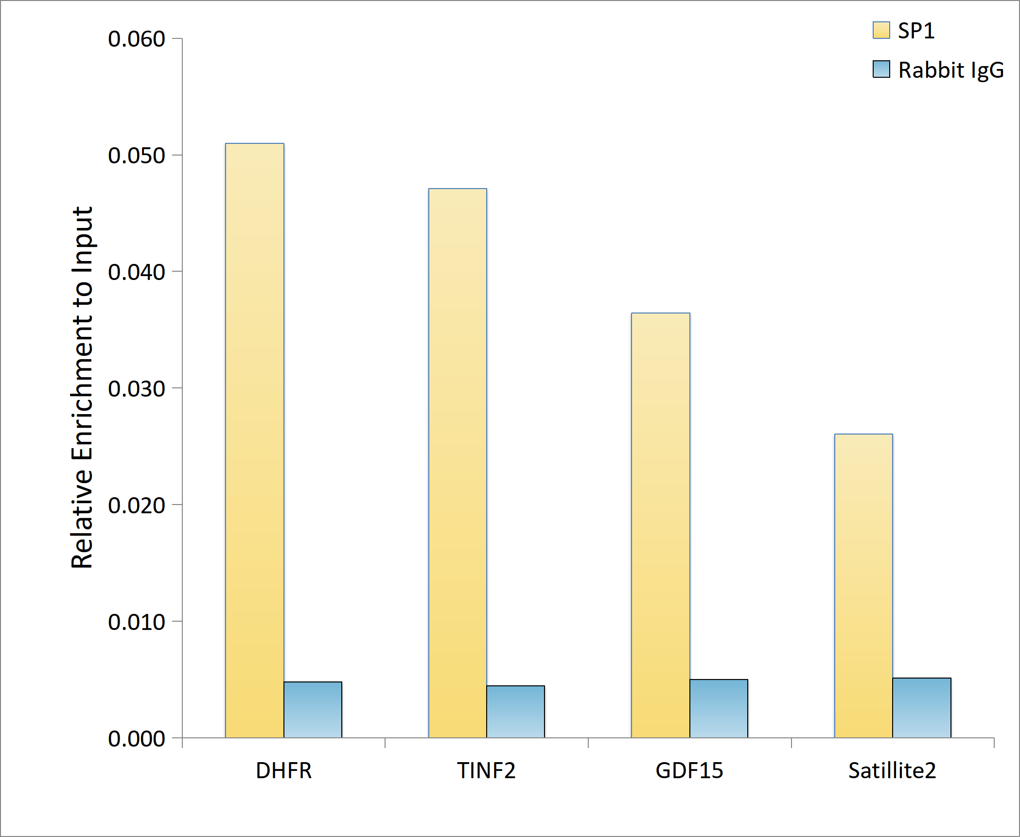 SP1 Rabbit mAb