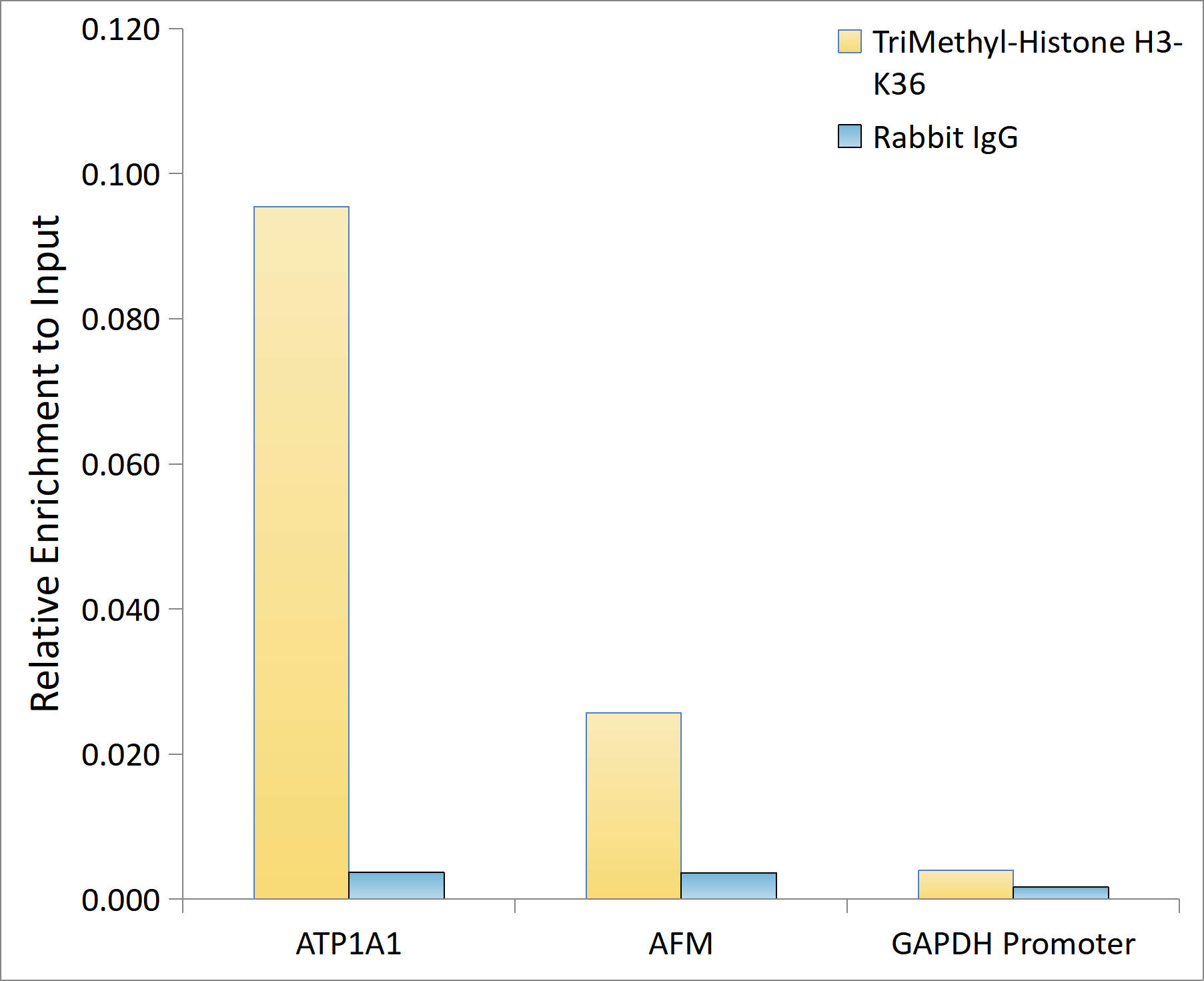 TriMethyl-Histone H3-K36 Rabbit mAb