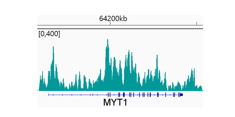 TriMethyl-Histone H3-K27 Rabbit mAb