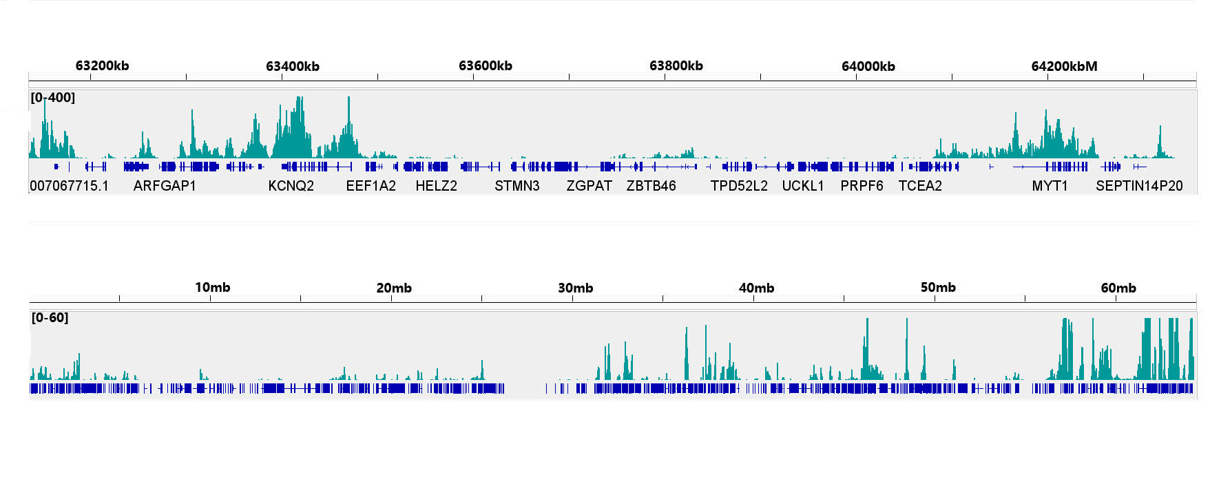 TriMethyl-Histone H3-K27 Rabbit mAb