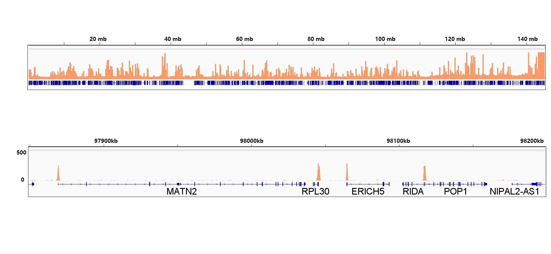 TriMethyl-Histone H3-K4 Rabbit mAb