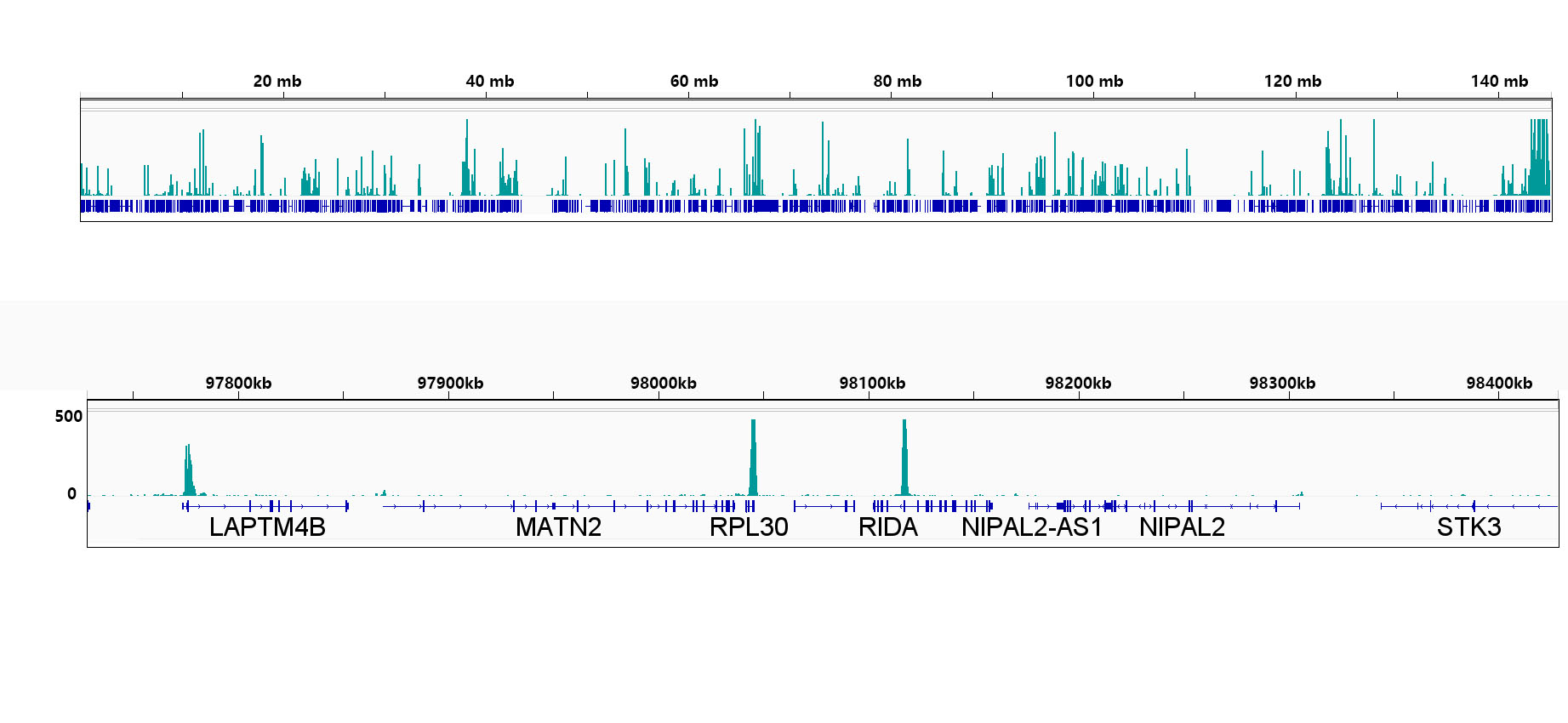 TriMethyl-Histone H3-K4 Rabbit mAb