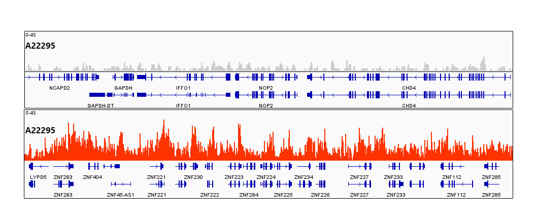TriMethyl-Histone H3-K9 Rabbit mAb