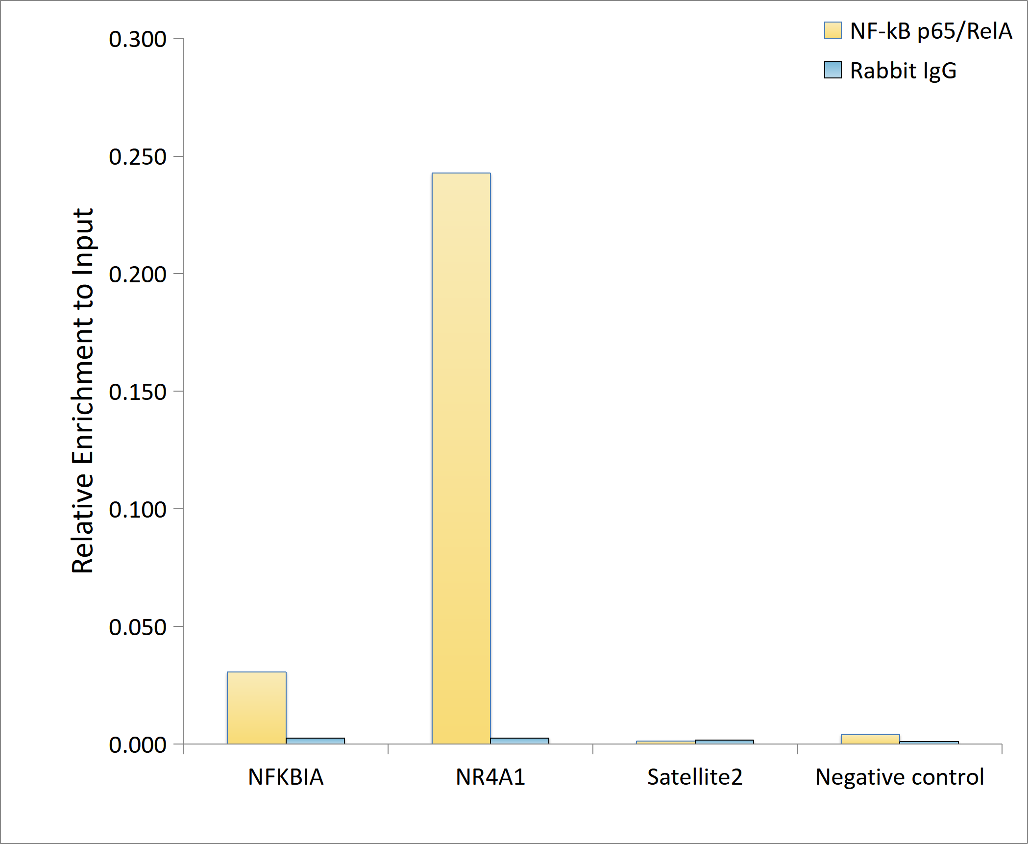 [KO Validated] NF-kB p65/RelA Rabbit mAb