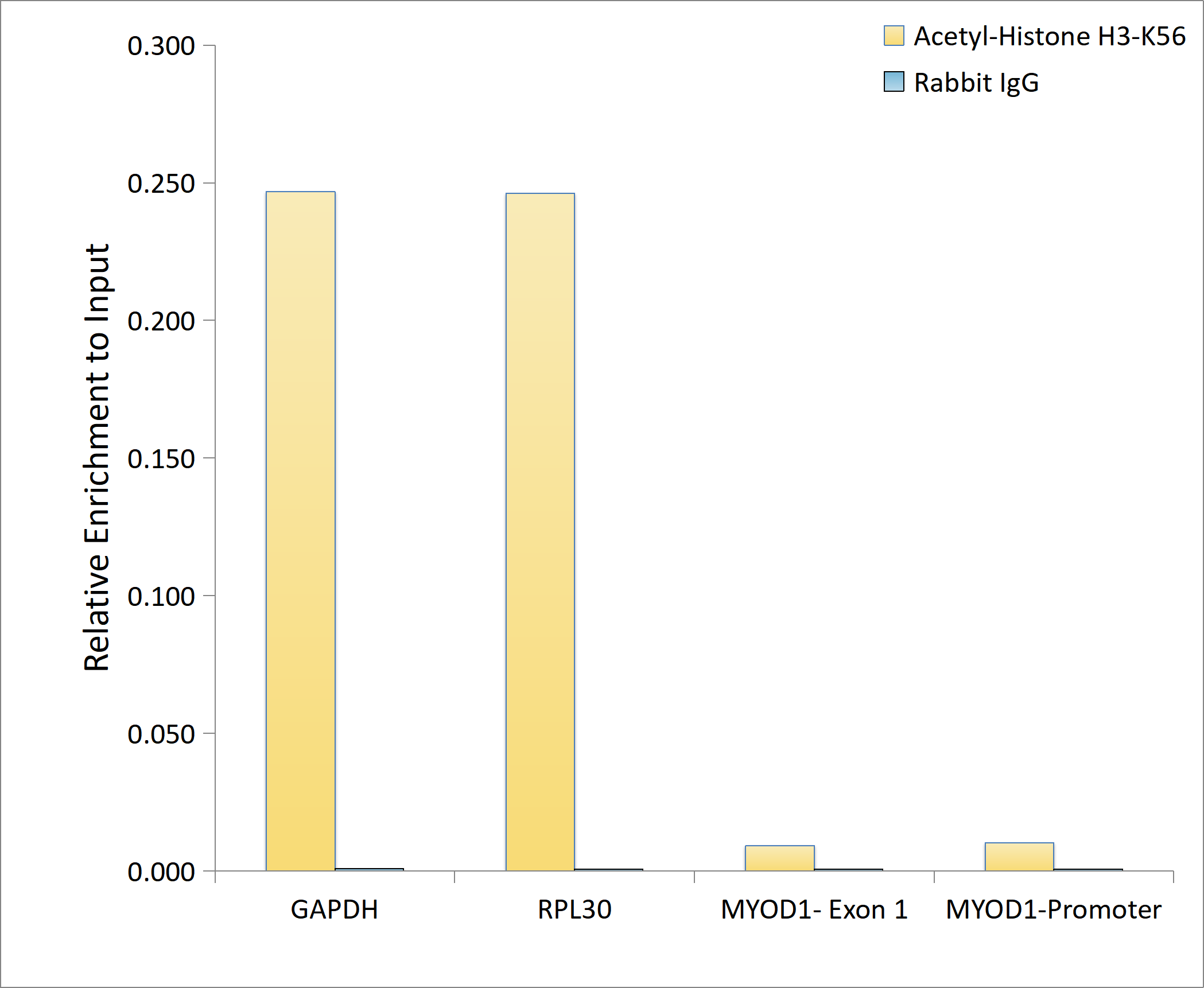 Acetyl-Histone H3-K56 Rabbit mAb