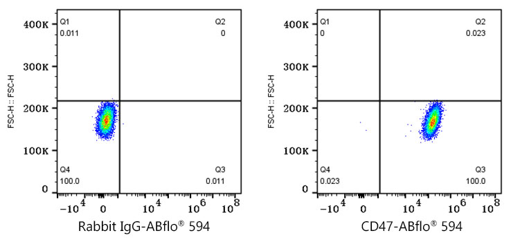 ABflo® 594 Rabbit anti-Human CD47 mAb