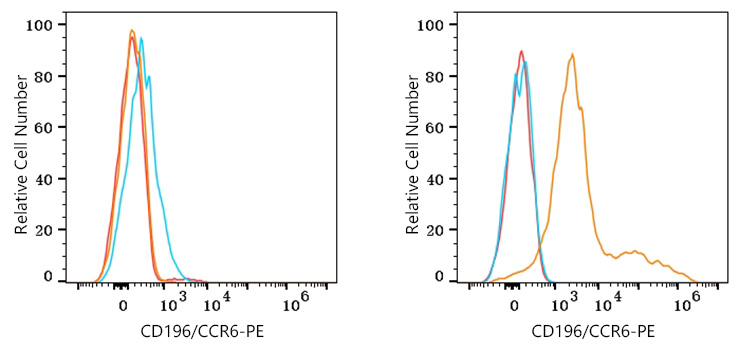 PE Rabbit anti-Human CD196/CCR6 mAb-单克隆抗体- ABclonal