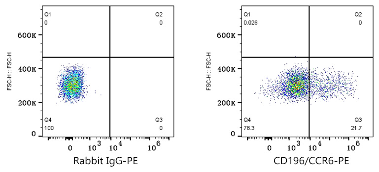 PE Rabbit anti-Human CD196/CCR6 mAb-单克隆抗体- ABclonal