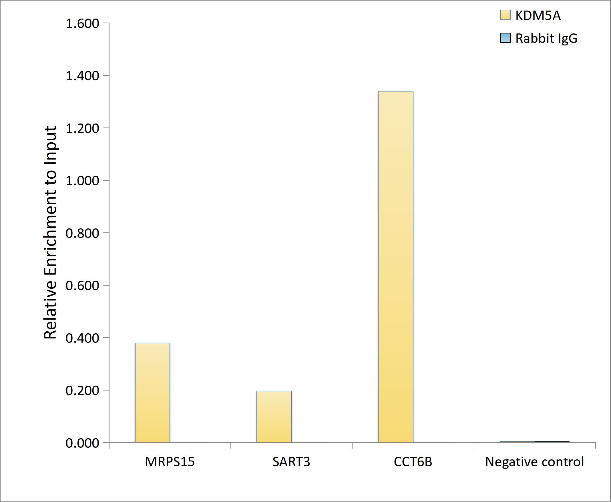 KDM5A Rabbit mAb