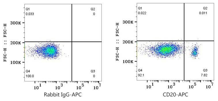 CD20 Rabbit mAb