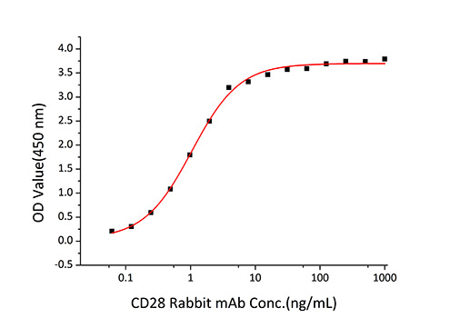 Recombinant Human/Cynomolgus/Rhesus macaque CD28 Protein