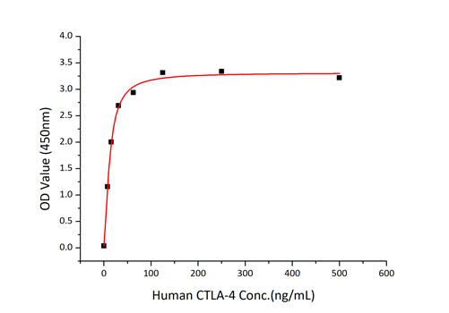 Recombinant Human CTLA-4/CD152 Protein