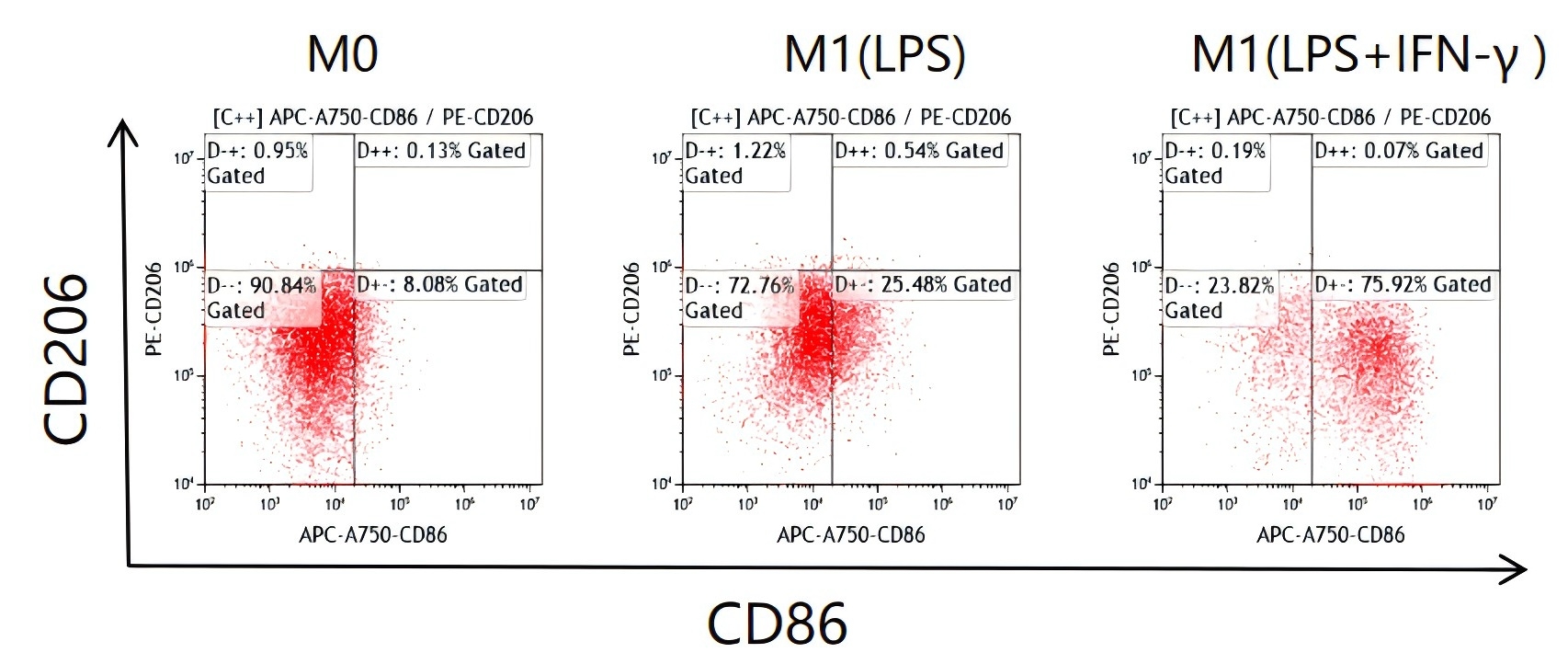 Recombinant Mouse IFN-gamma Protein