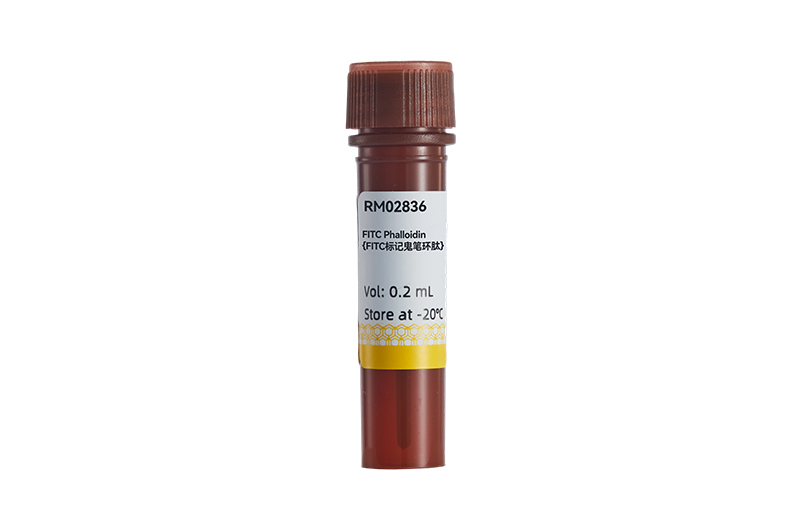 FITC Phalloidin {FITC标记鬼笔环肽}